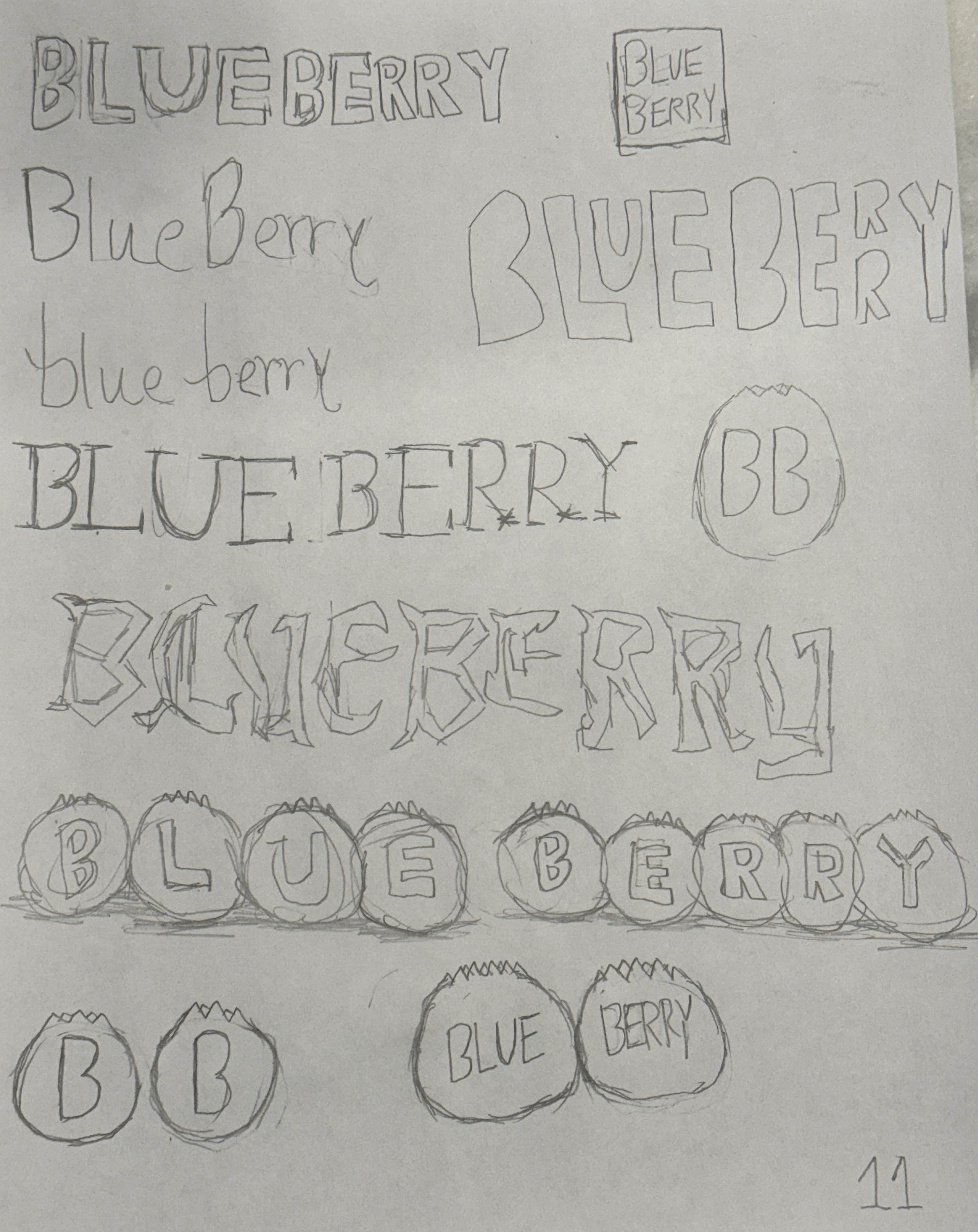 Blueberry Logo Sketch Set 1