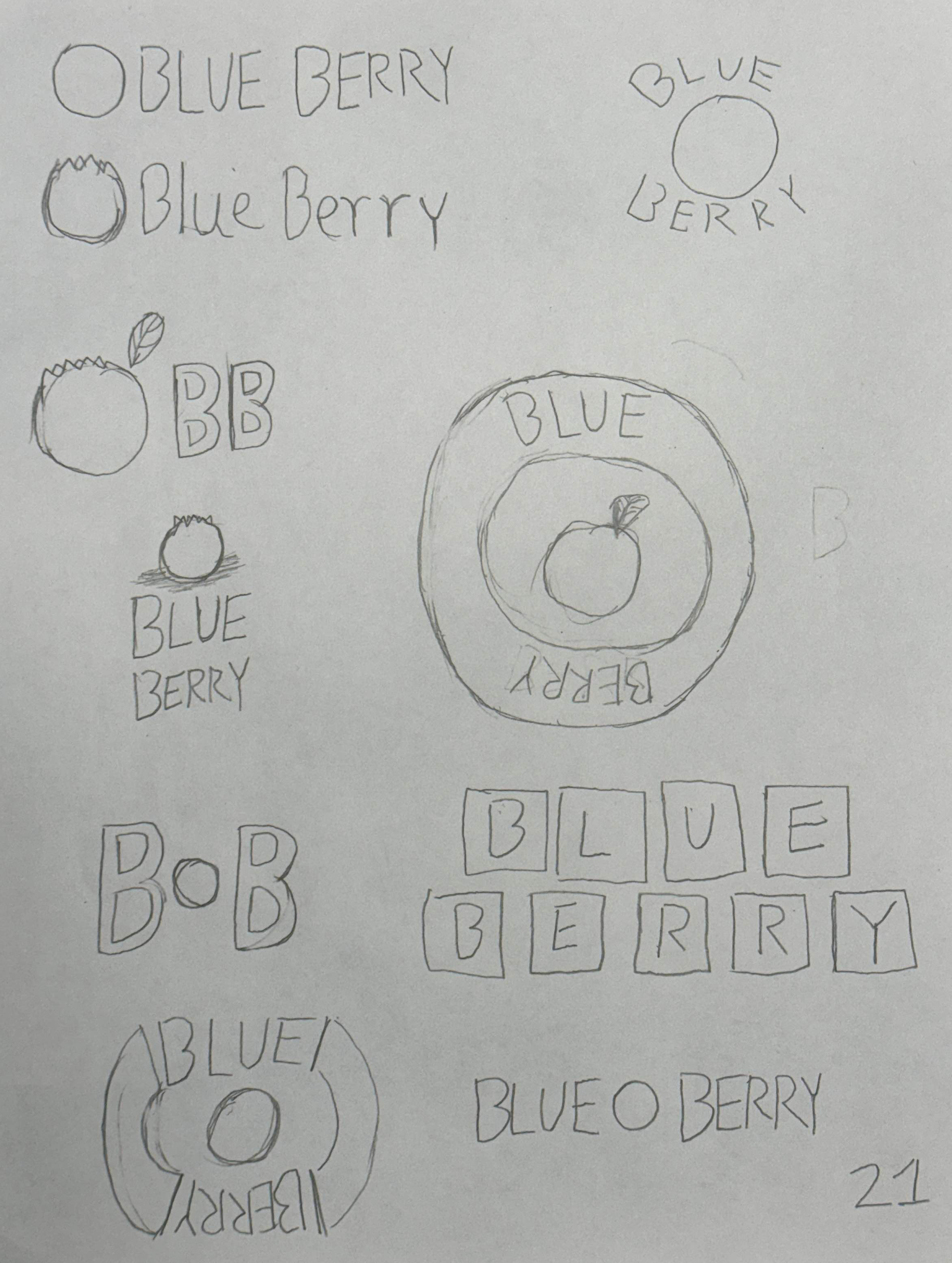 Blueberry Logo Sketch Set 2