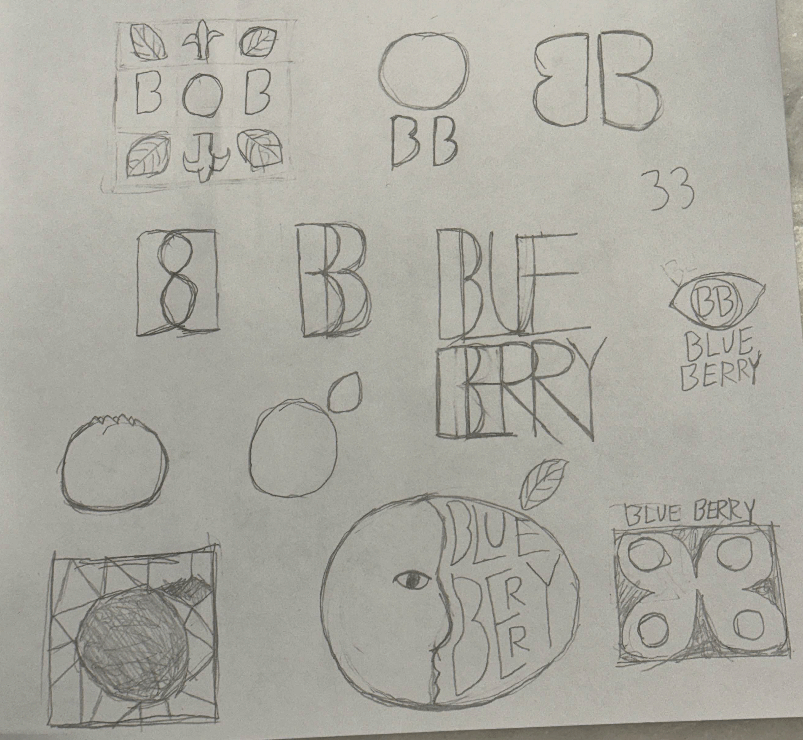 Blueberry Logo Sketch Set 3