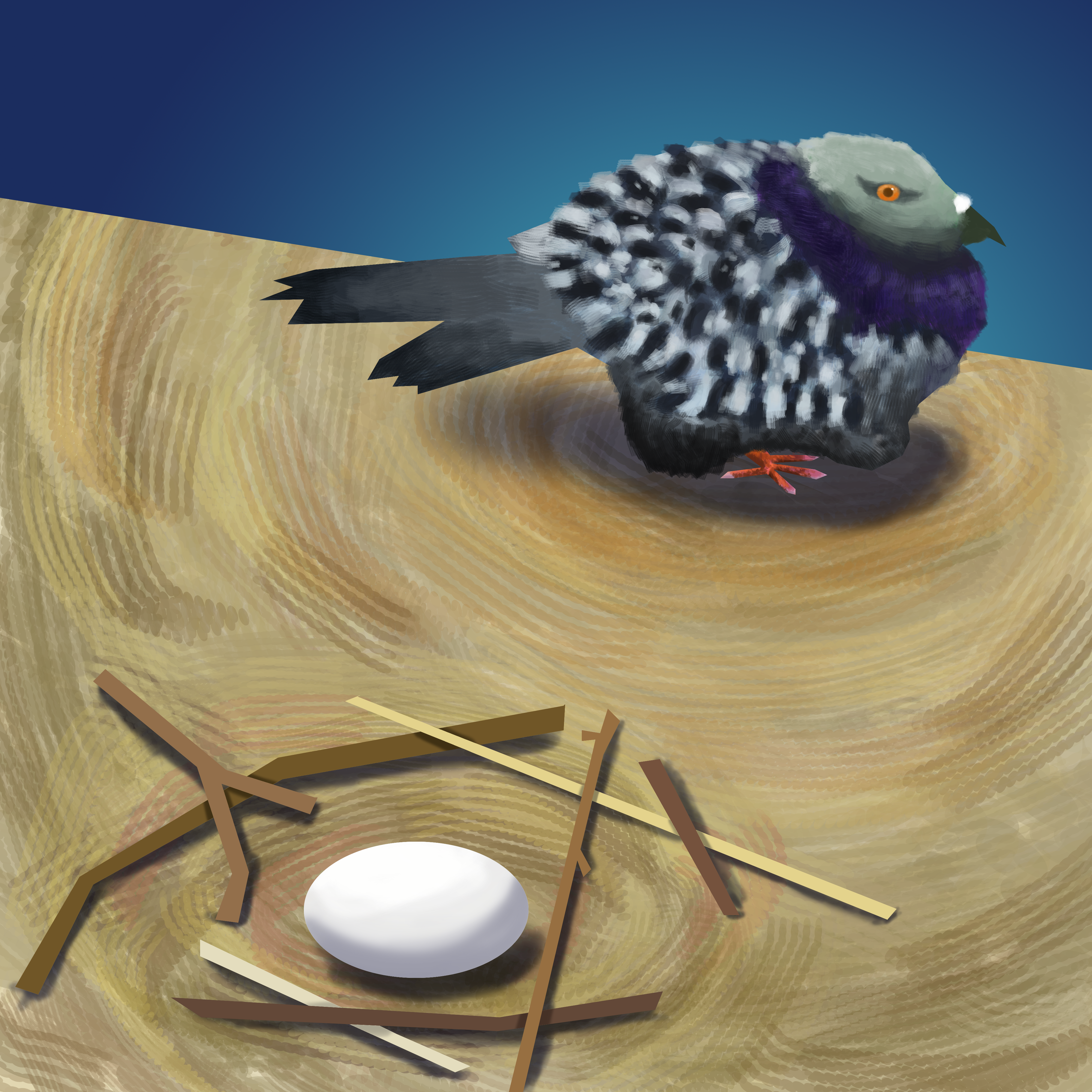 Pigeon_Portrait