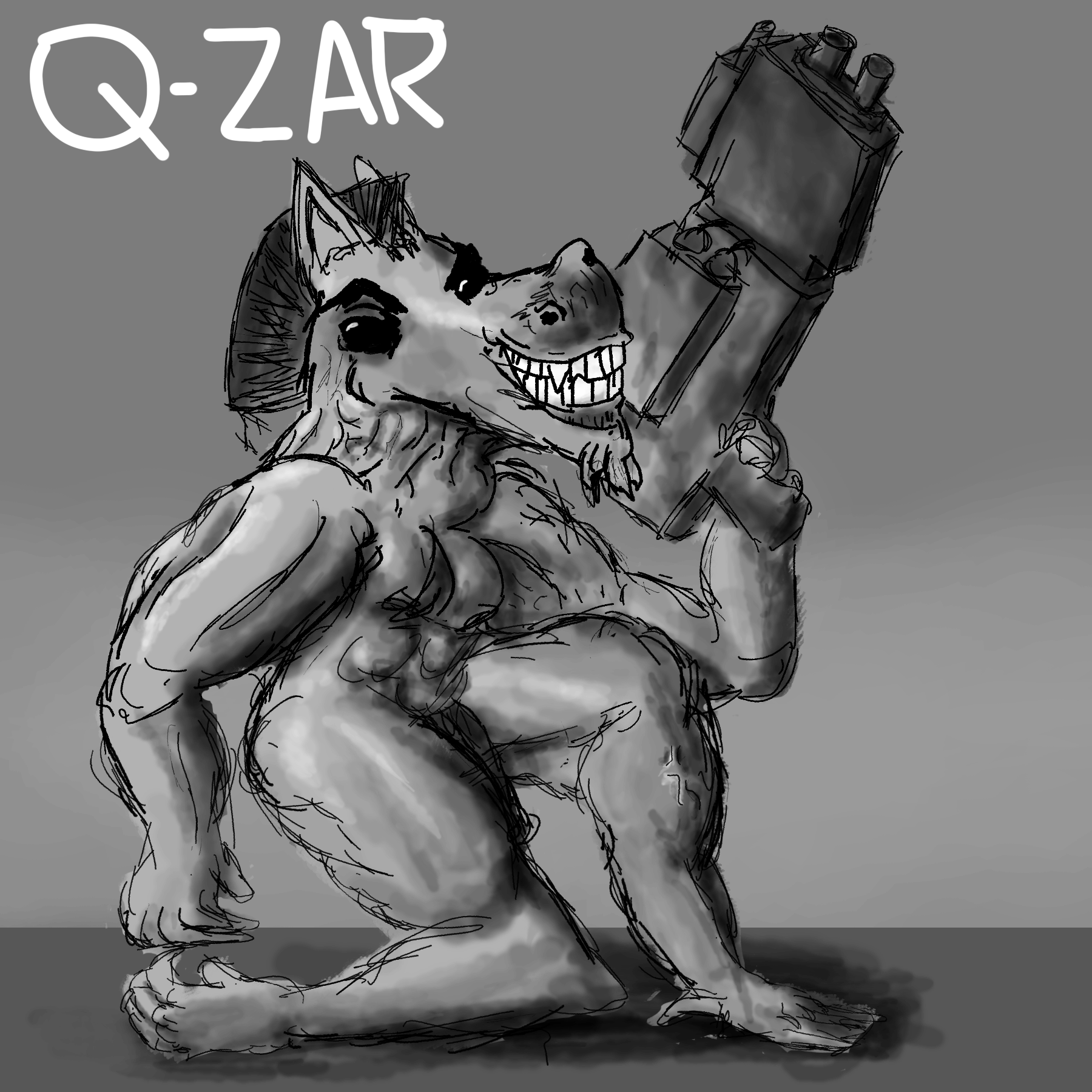 Q-Zar